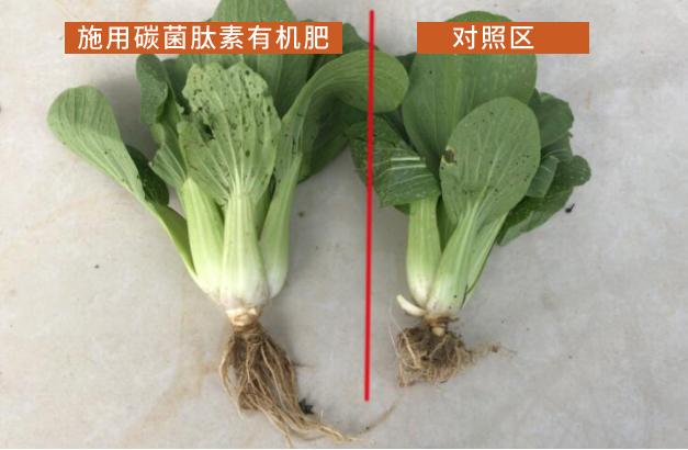 植物源有機(jī)肥日益受歡迎，它為啥就比雞糞好？